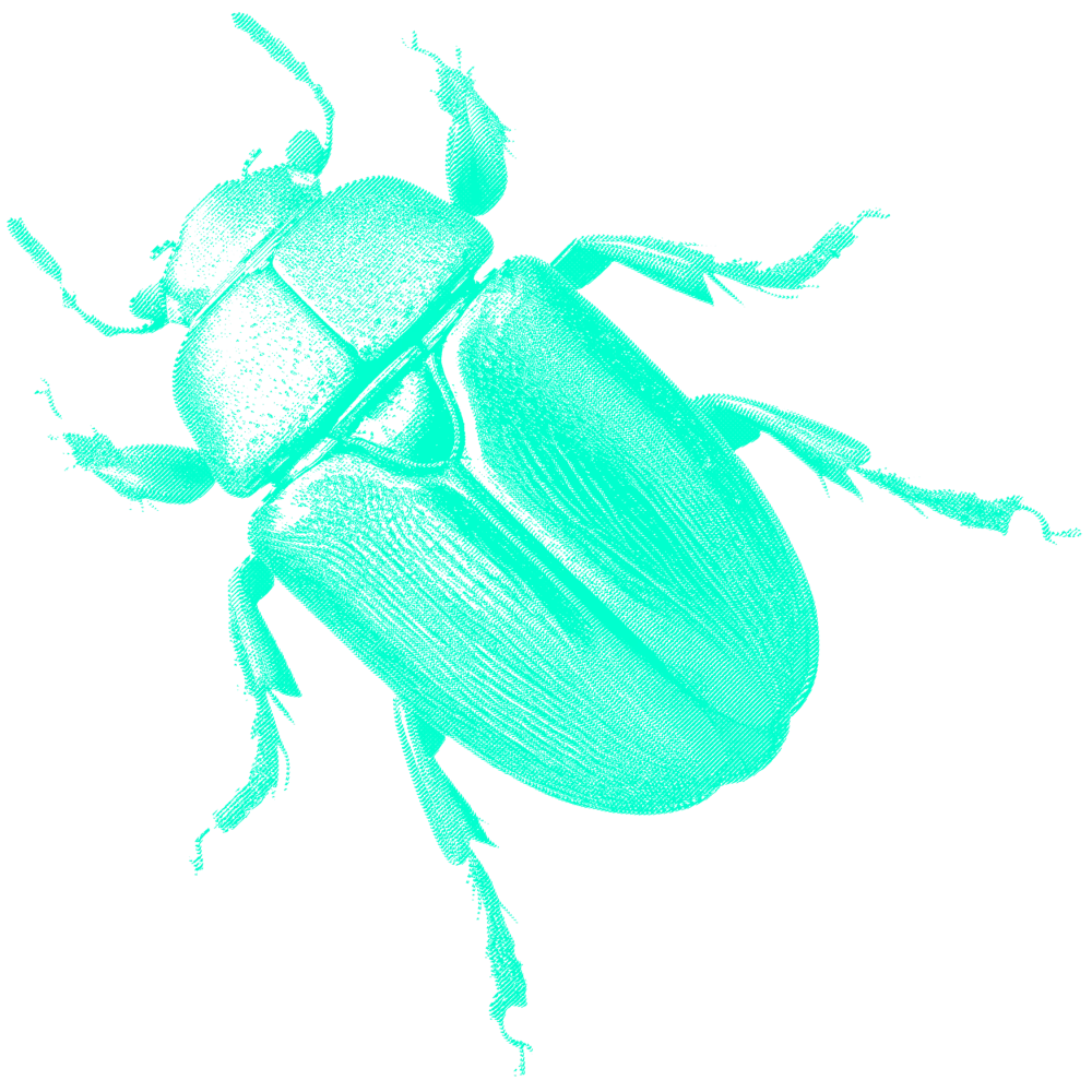 A digital bug (we love bugs), in green color